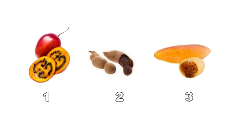 Collection de fruits exotiques acidulés