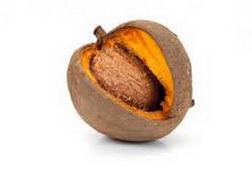 Abricot-pays, le gros fruit des Antilles