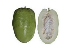 Barbadine, gros fruit de la passion, fruit exotique en B