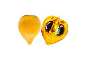 Canistel entier et coupé, révélant sa chair jaune dense