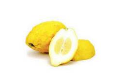 Cédrat jaune et bosselé, agrume en C