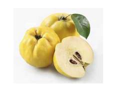 Coings jaunes, fruits en C durs et parfumés