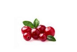 Cranberries rouges, canneberges, baies en C