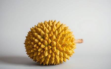 Un durian entier avec sa coque épineuse