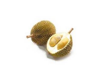 Durian, fruit épineux d'Asie du Sud-Est, fruit en D