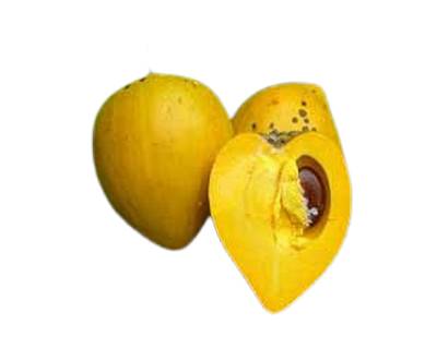 Egg Fruit (Canistel), fruit exotique en E