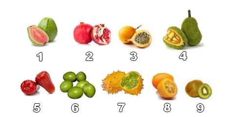 Collection de fruits exotiques aux formes étonnantes