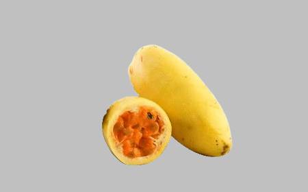 Plusieurs fruits taxo entiers, jaunes et allongés