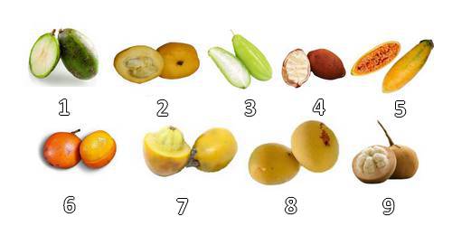 Collection de fruits exotiques rares pour les connaisseurs