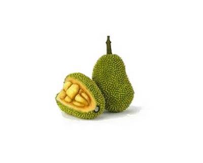 Jacque (Jackfruit), fruit exotique en J