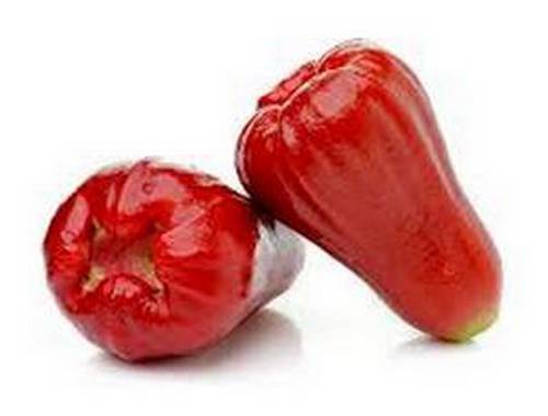 Fleurs et fruits du jambosier rouge dans l'arbre