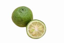 Kabosu, agrume vert japonais, fruit en K