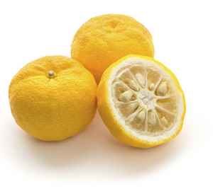 Limette (Citron doux), fruit en L