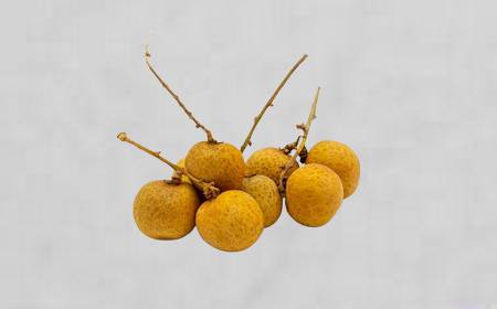 Plusieurs longanes frais dans leur coque marron clair