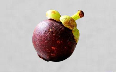 Le fruit mangoustan avec sa coque violette épaisse