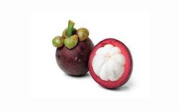 Mangoustan ouvert, la reine des fruits, avec sa chair blanche délicate