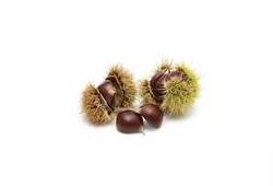Marrons (châtaignes) grillés, fruit à coque en M