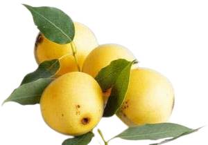 Fruits marula coupés et entiers sur une table