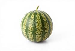 Melon Cantaloup orange, fruit en M rafraîchissant