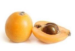 Nèfle du Japon (Bibasse), fruit en N