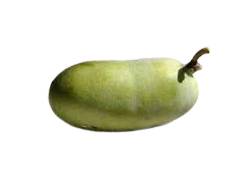 Pawpaw (Asimine), fruit nord-américain en P