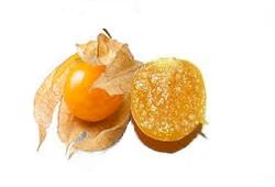 Physalis (Amour en cage) orange, fruit en P