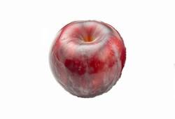 Prunes violettes et juteuses, fruit en P