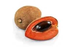 Sapote noire ouverte, fruit en S à pulpe chocolatée