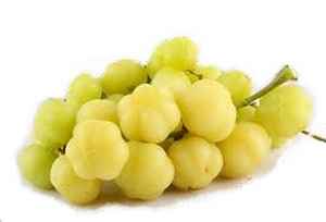 Surelles confites translucides dans un bocal