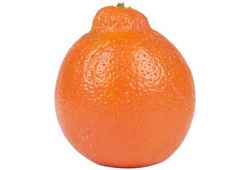 Tangelos, agrumes hybrides juteux, fruit en T