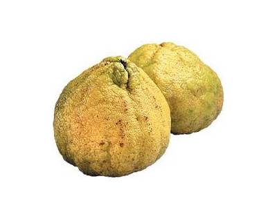 Ugli Fruit
