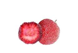 Yangmeis rouges vifs, fraises chinoises, fruit asiatique en Y