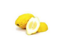 Yuzus jaunes, agrumes asiatiques en Y